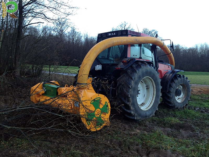 biomass_trab2